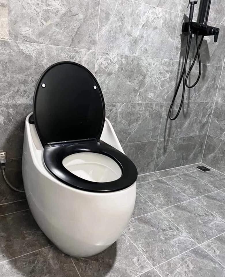 BỒN CẦU QUẢ TRỨNG GRVBC R21 WHITE&BLACK
