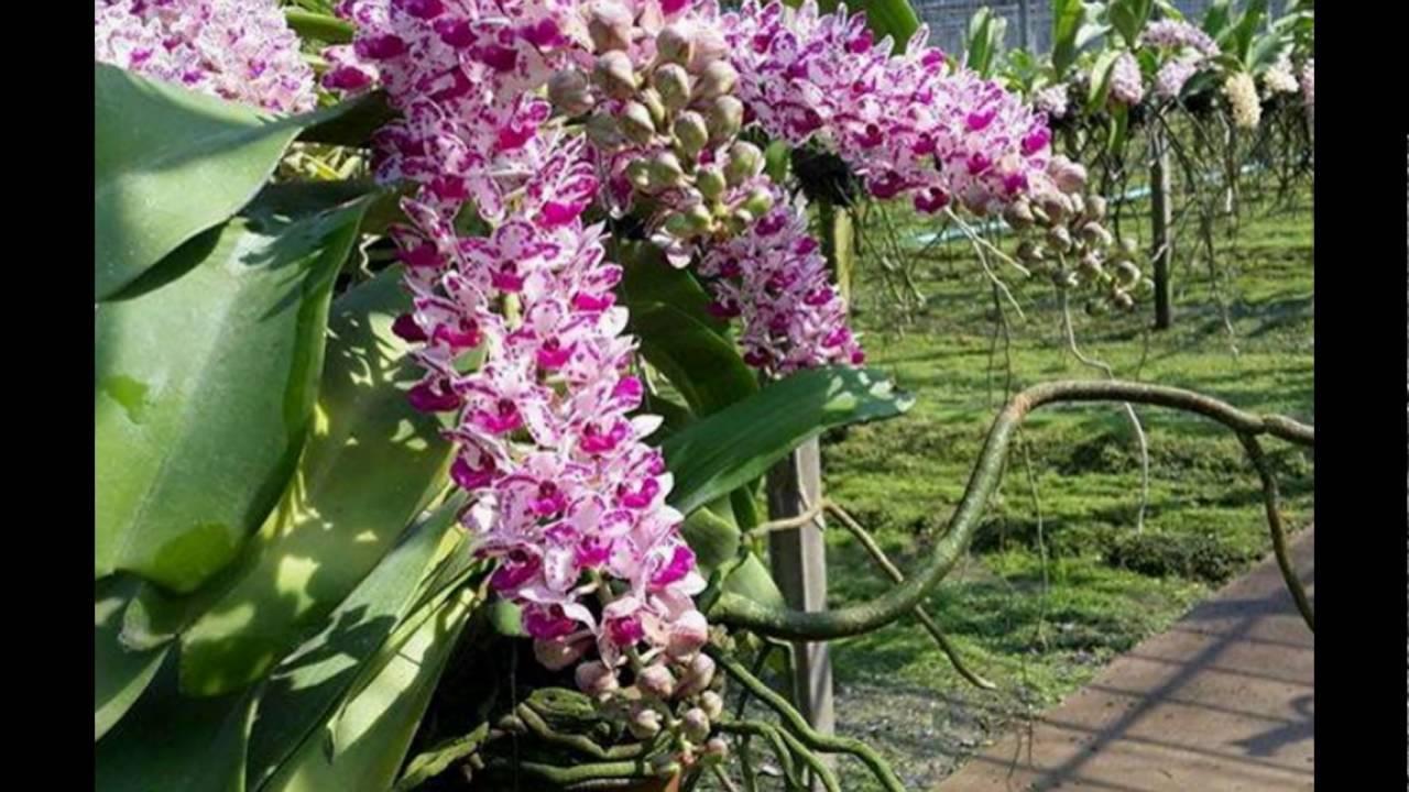 Thẻ ghi tên Lan 100 chiếc