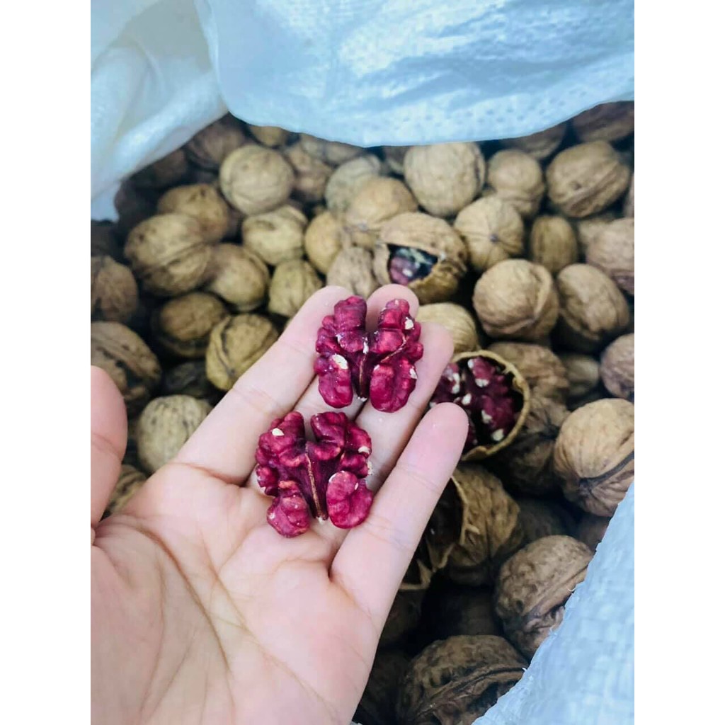 [HCM]HẠT ÓC CHÓ ĐỎ MỸ - 500g