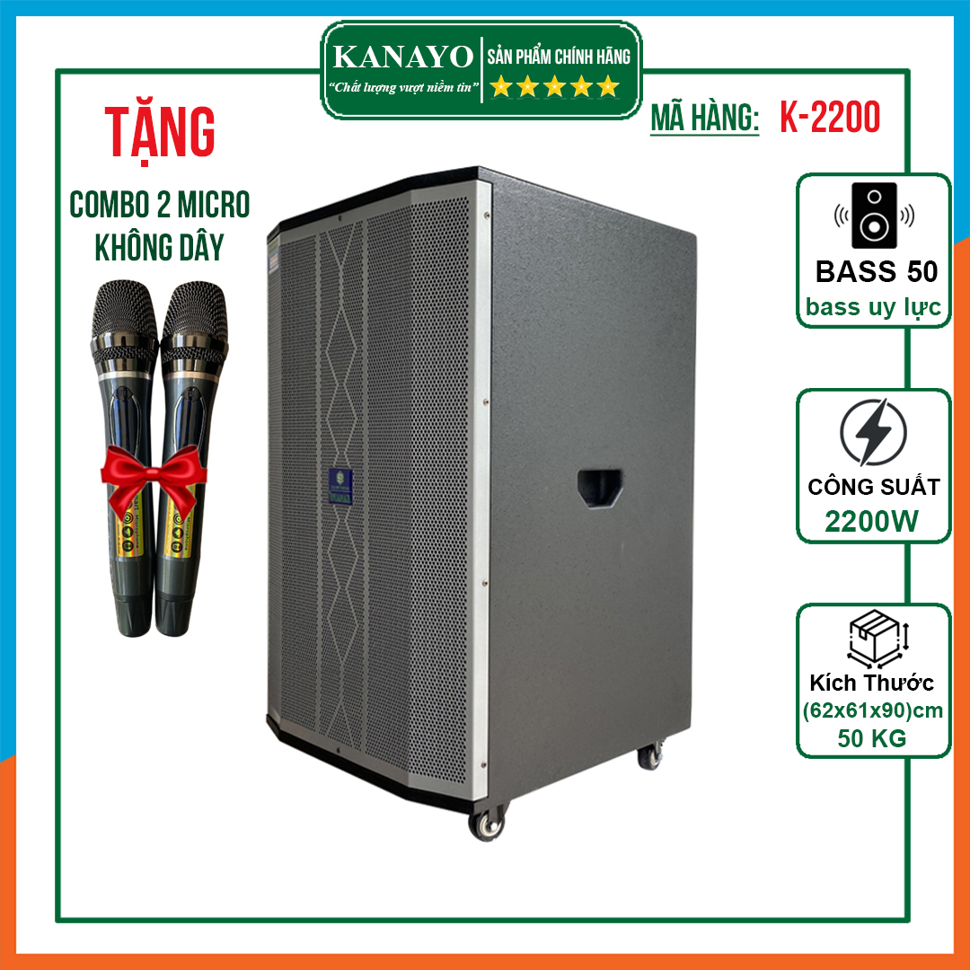 2200W high power karaoke speaker | cheap kanyo Basa 50 speaker | luxury handpull memory card USB reader Bluetooth speaker with 2 mic karaoke