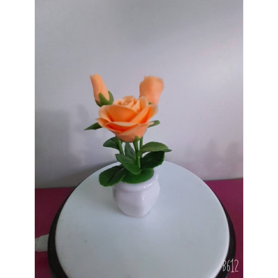 Hồng mini dể thương
