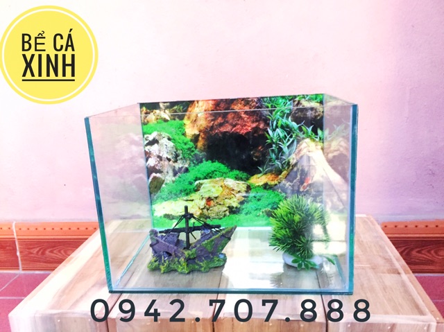 Bể cá 30*20*20 DRC - tặng kèm cây và thức ăn