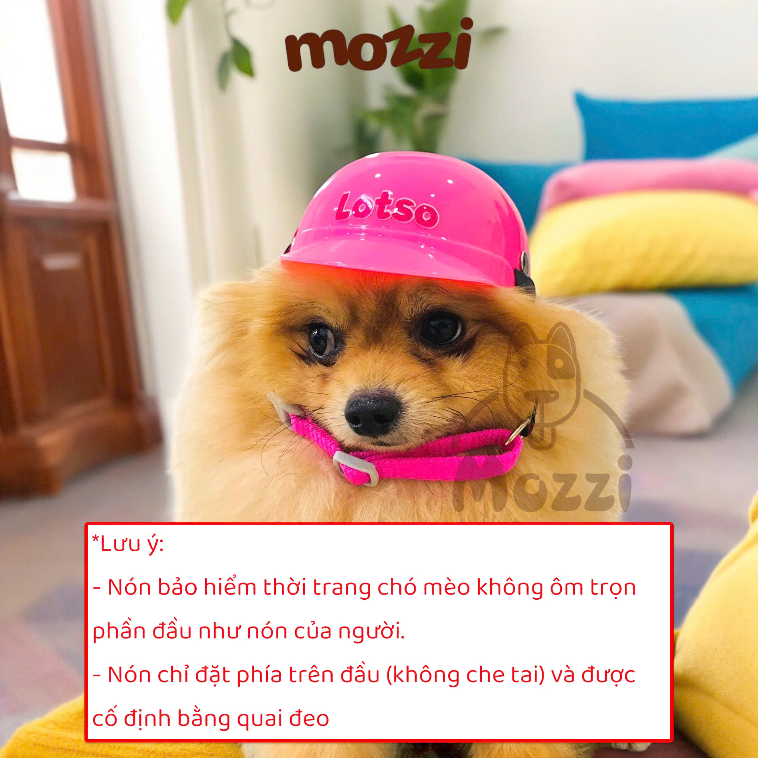Nón Bảo Hiểm thời trang dành riêng cho chó mèo