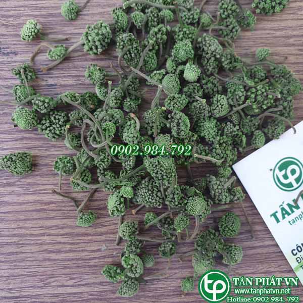 Nụ Hoa Tam Thất 200g Sấy Khô - Thảo Dược Tấn Phát