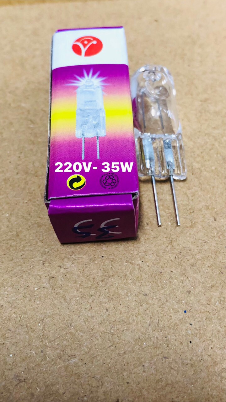 ComBo 10 Bóng Ghim 220V 35W