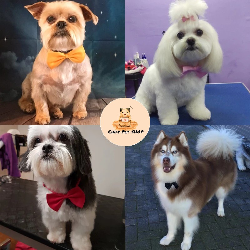 Nơ Vải Đeo Cổ Cho Thỏ, Chó, Mèo...