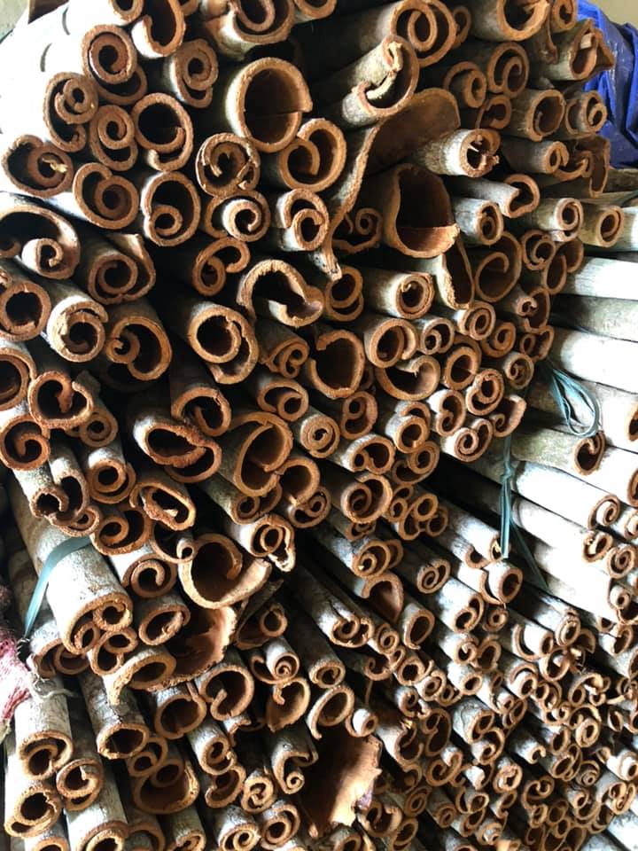 1kg Quế thanh chưa cạo vỏ ( vỏ quế thơm, sạch)