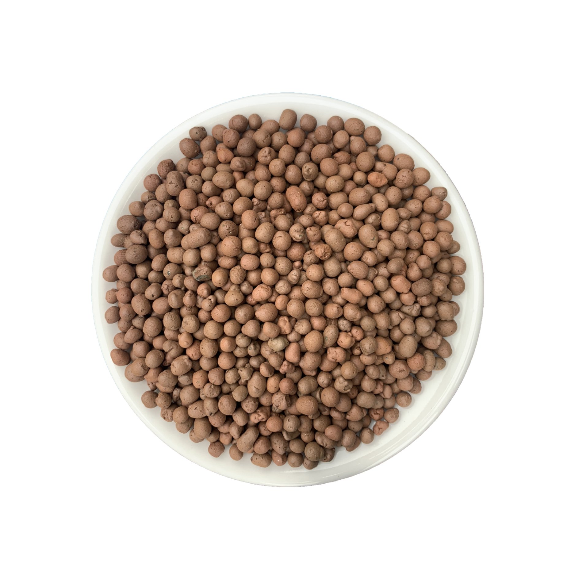 Đất sét nung Popper Thái Lan size M (6 lít)