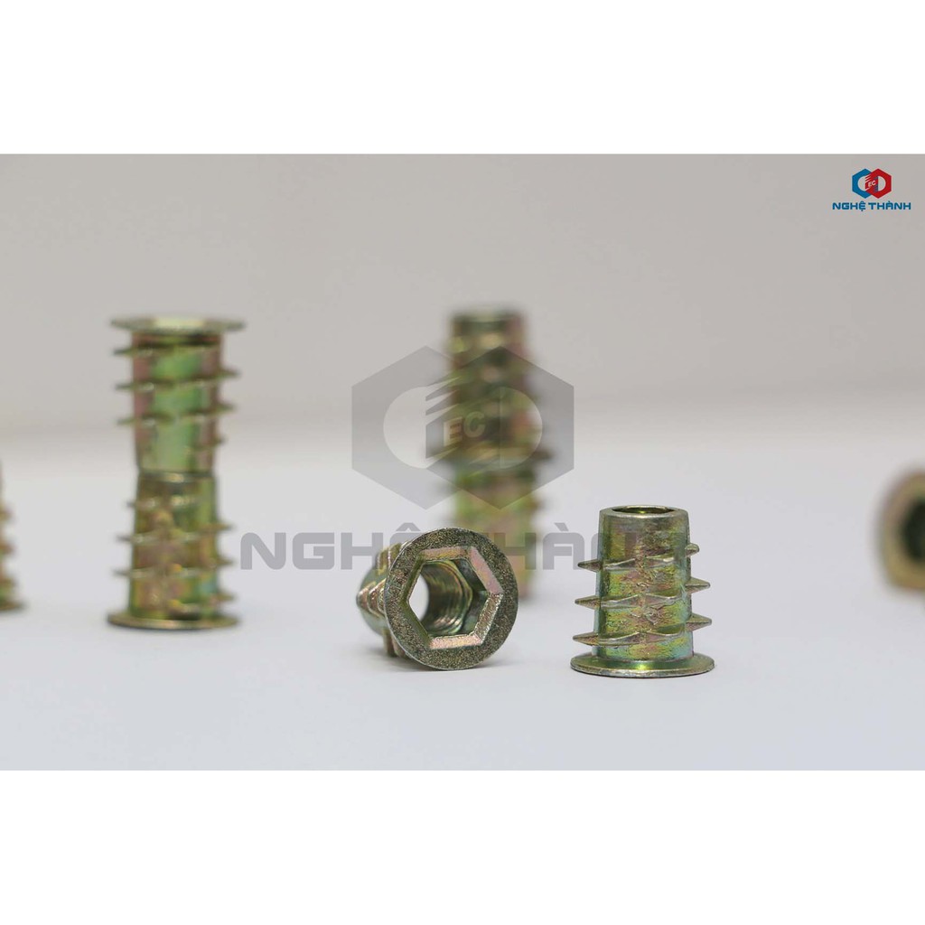 Ốc cấy gỗ ( dùng với bù lon) hiệu EC [HCM]