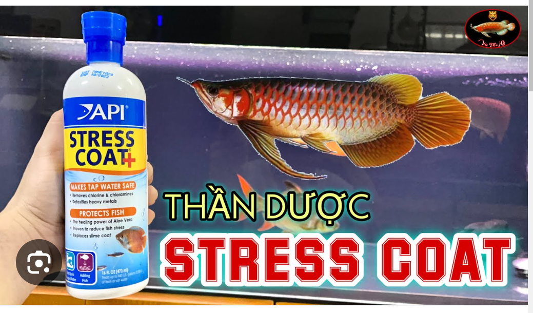 Dung dịch xử lý nước tress coat cho bể cá cảnh API Mỹ