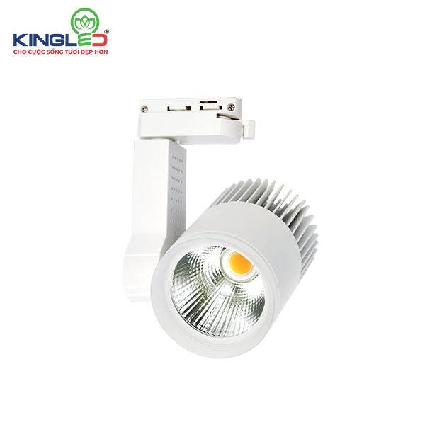 Đèn Led Rọi Ray Beryl - Kingled (DTL-SS)