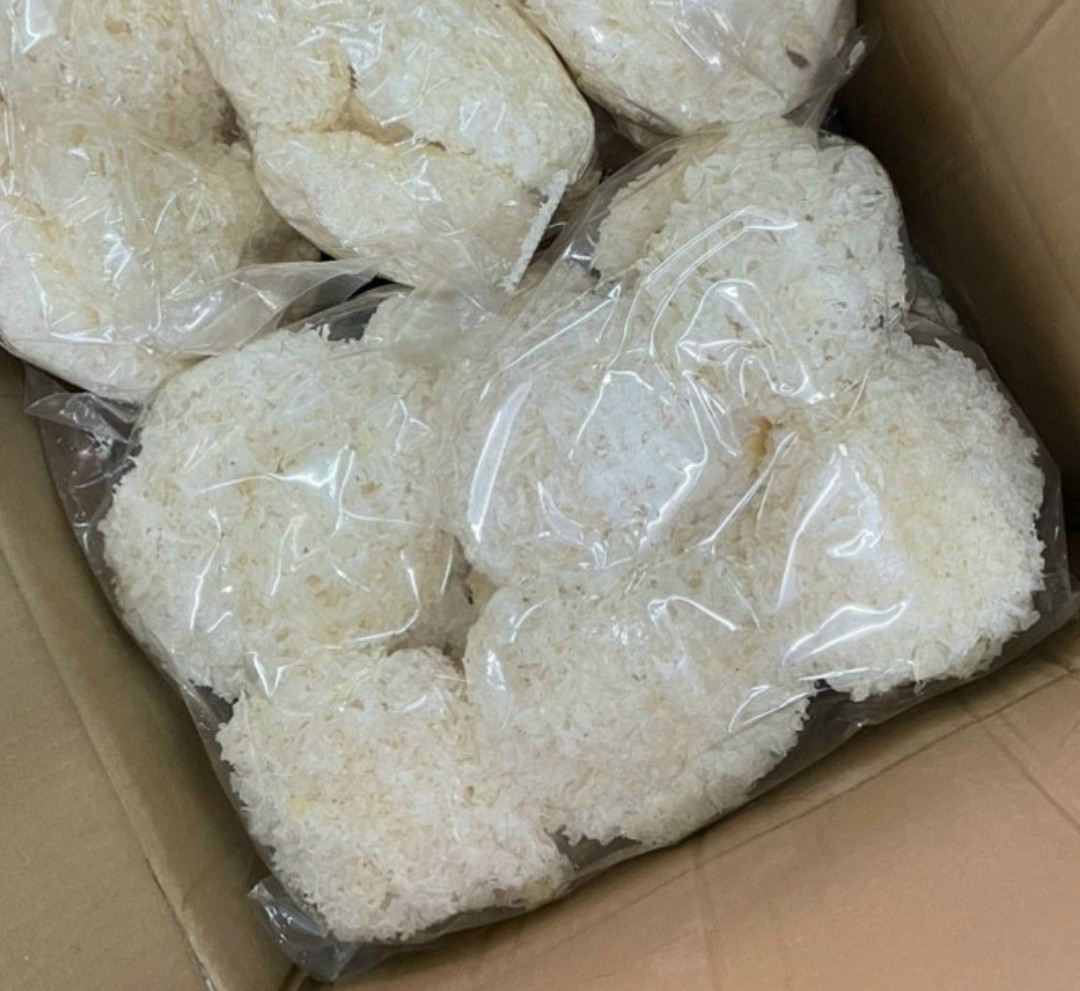 Nấm tuyết NGUYÊN BÔNG gói 500g -date luôn mới