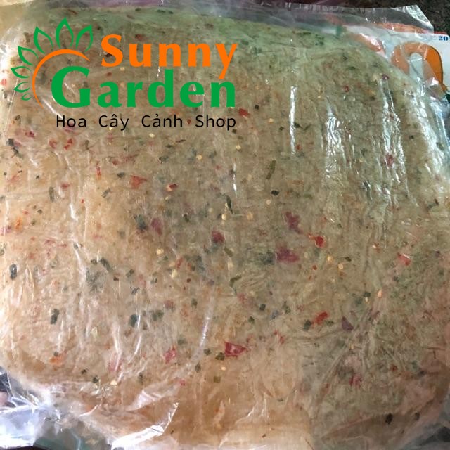 Bánh Tráng Dẻo Ớt 550 Gram - Đặc Sản Tây Ninh