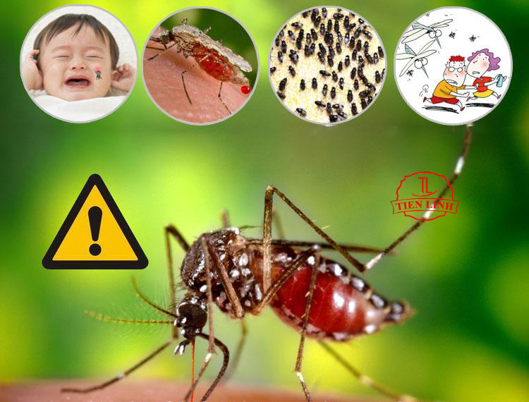 Máy đuổi chuột giá rẻ máy đuổi côn trùng Máy đuổi muỗi TL396 Thuốc diệt kiến - Đen