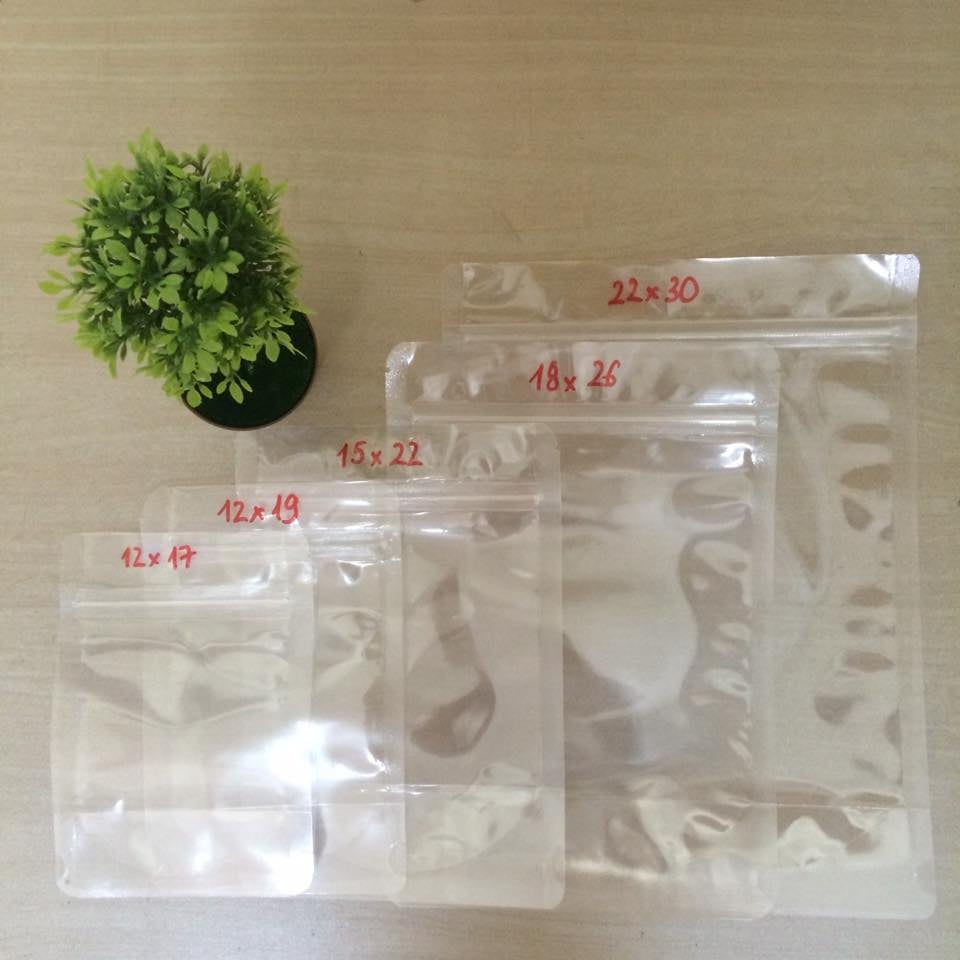 -1kg clear double side stand up zipper bag - cheap full size