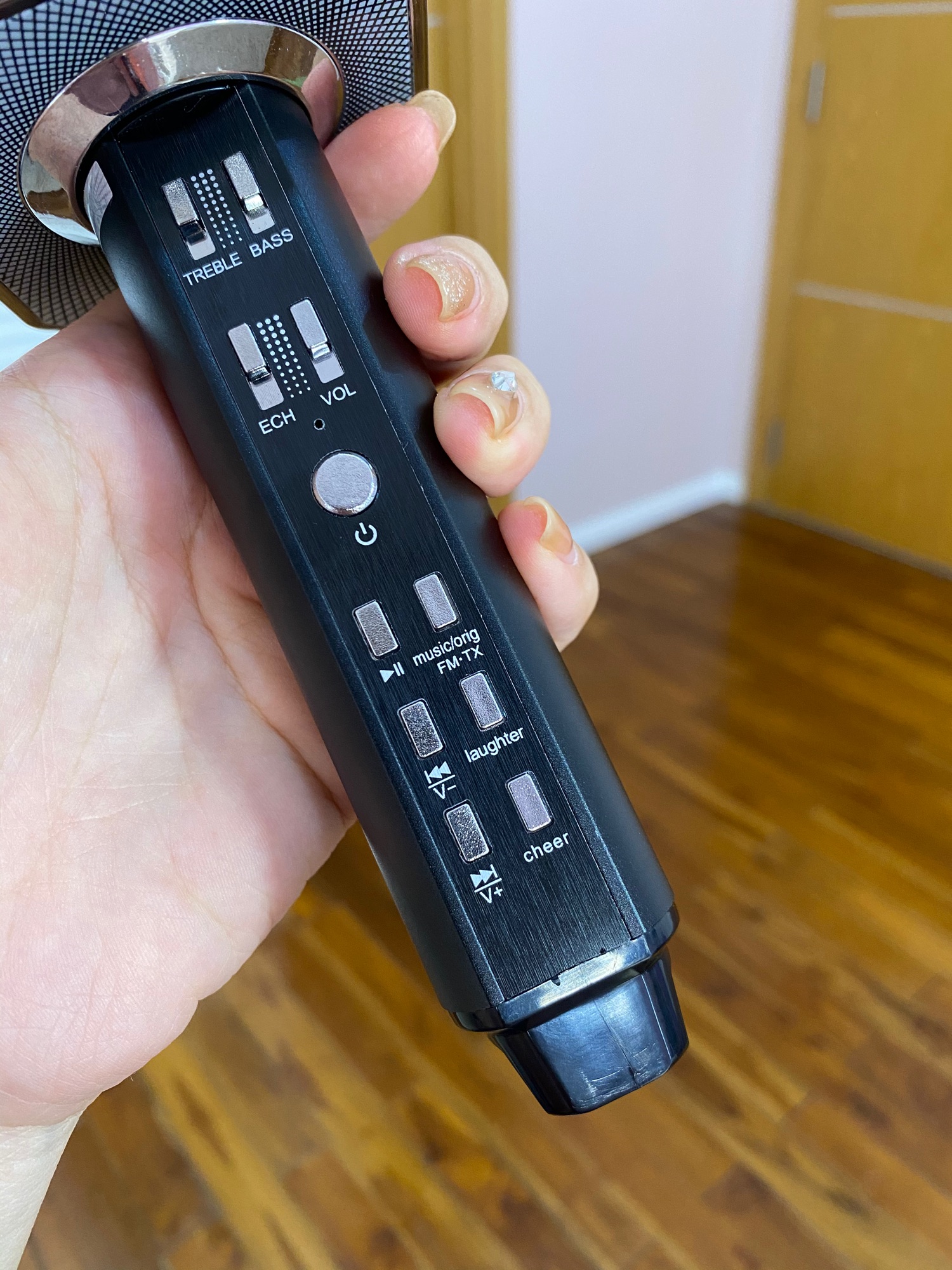 Micro Karaoke Bluetooth