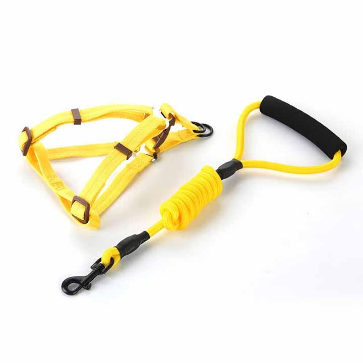 [HCM]Dây dắt cao cấp chó mèo thú cưng - Dây dắt 005