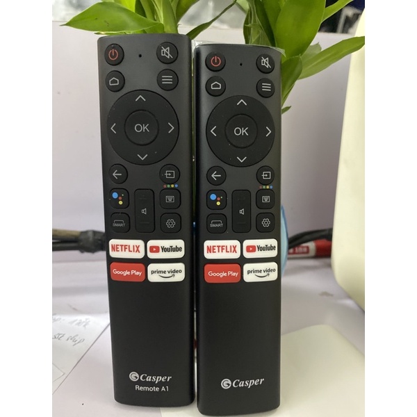{Hàng Chính Hãng}Remote Điều Khiển TV Casper Giọng Nói -Remote A1