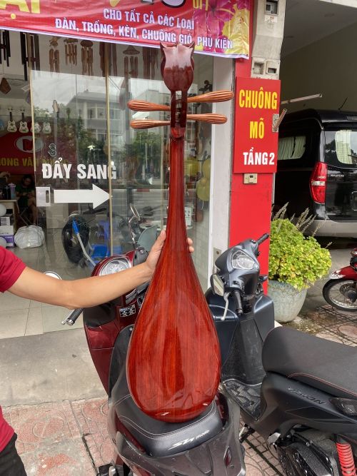 Đàn tỳ bà gỗ hương không khảm
