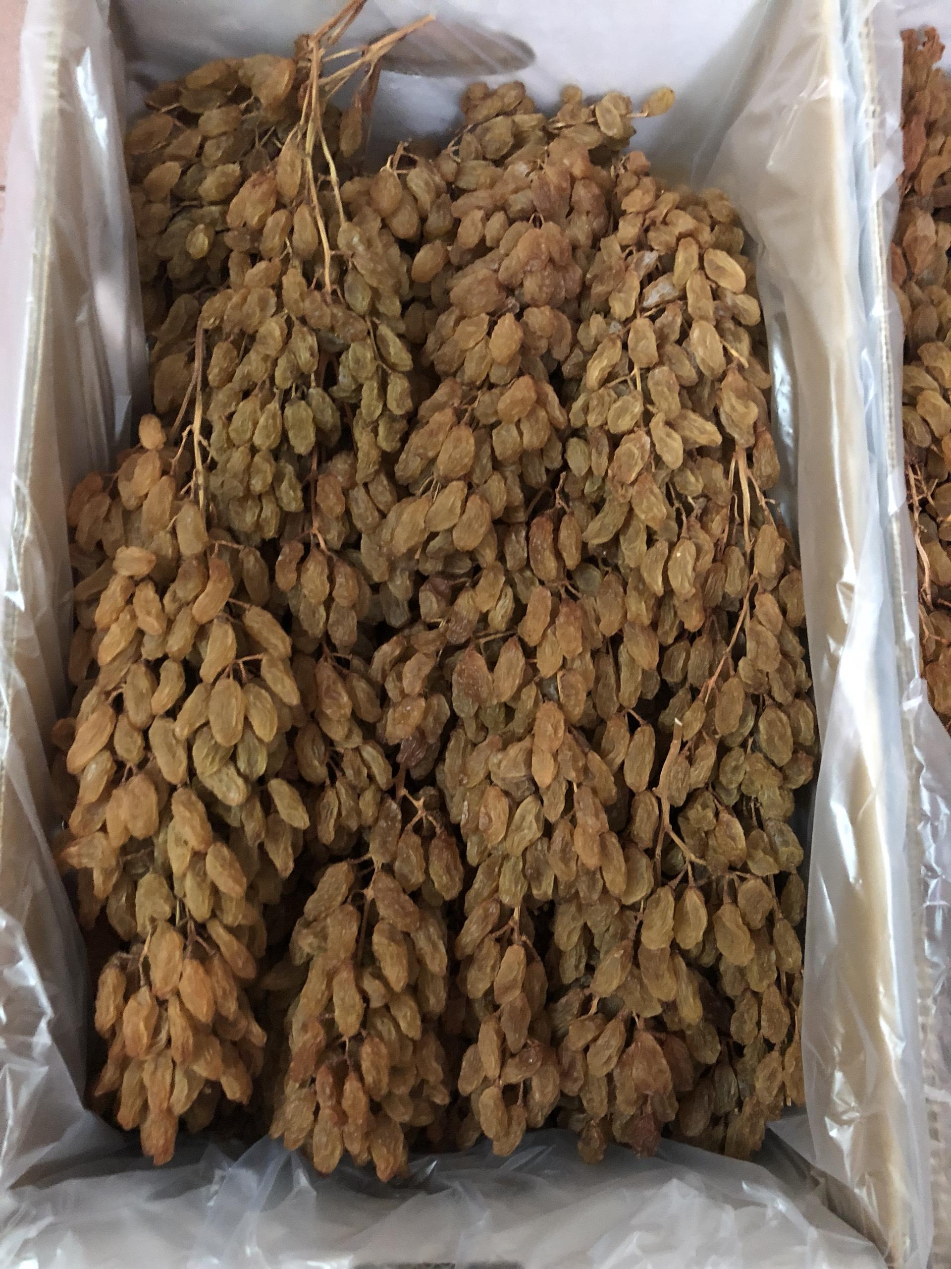 NHO KHÔ NGUYÊN CÀNH THOMPSON ÚC 500GR