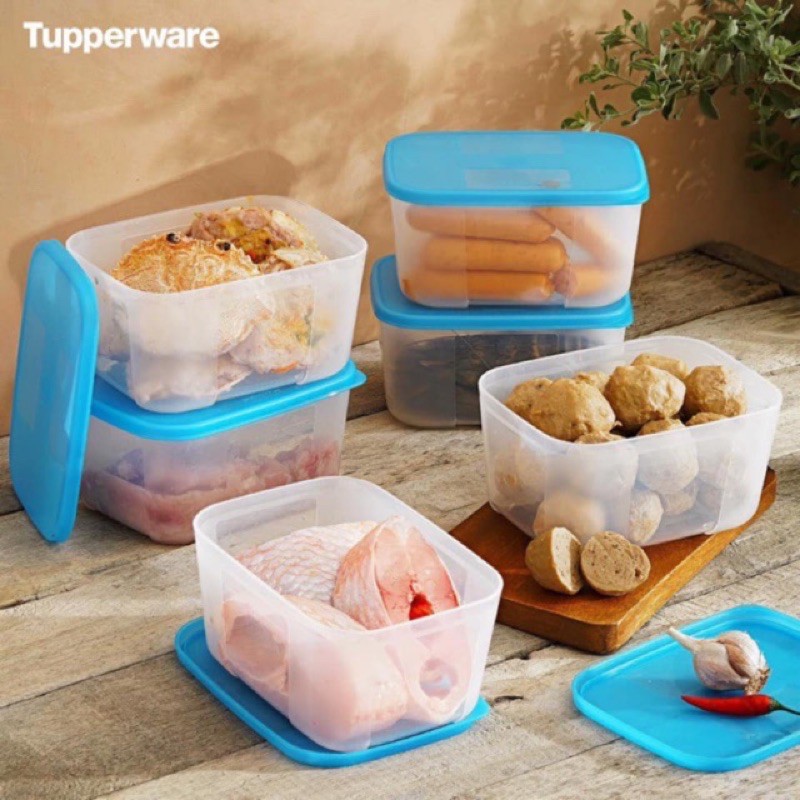 Hộp trữ đông Freezermate 650ml Tupperware ( bán lẻ )
