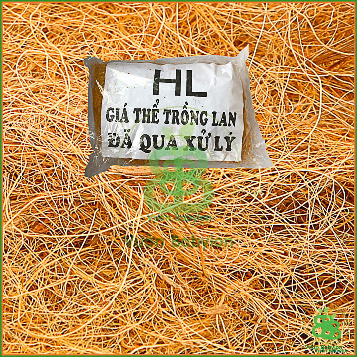 Xơ Dừa Sợi - Giá Thể Trồng Lan