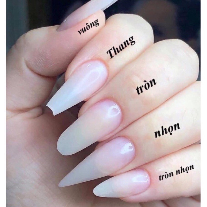 [Beannail.vn] Móng giả thiết kế tặng kèm dũa&keo B220