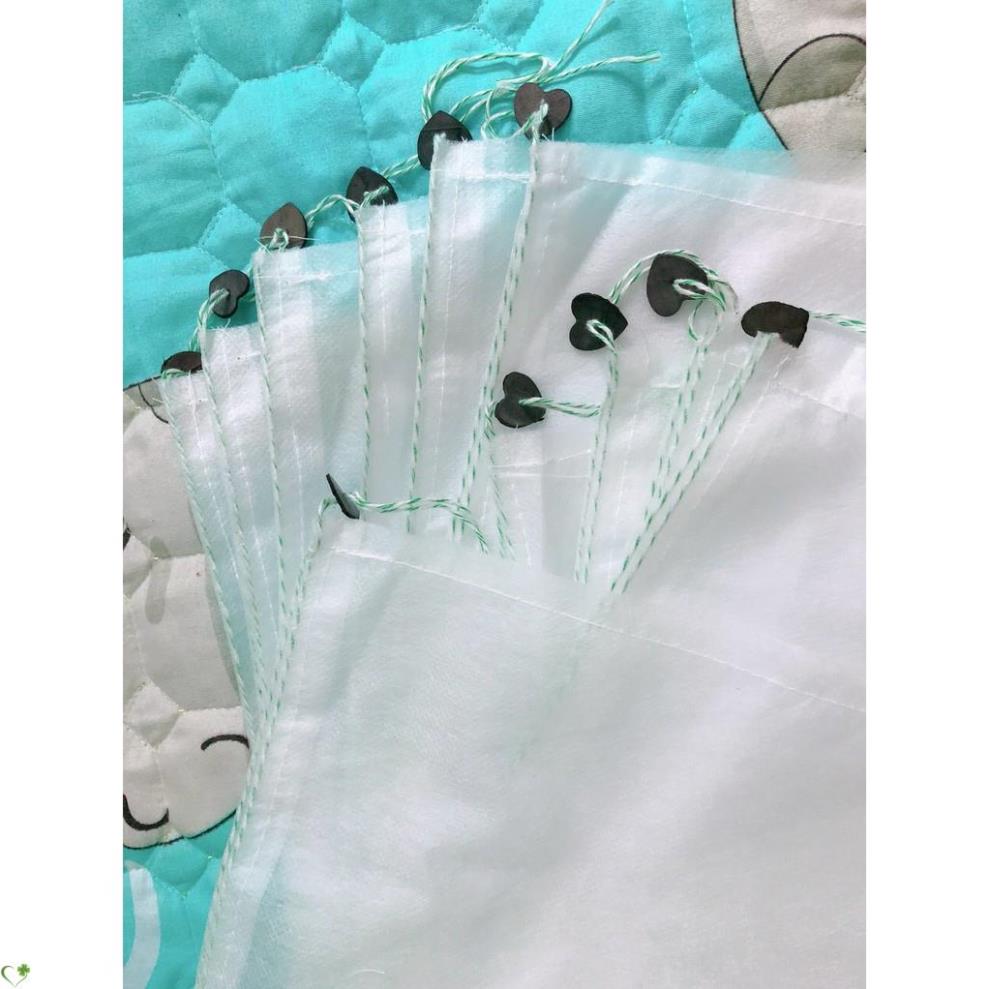 SET 10 CÁI TÚI bọc trái cây thương hiệu Ánh Dương dùng bọc Na, ổi, khổ qua, dưa leo, bầu, mướp, Bưỡi Diễn, Mít Thái size 18x19, 20x25, 22x30, 30x30, 30x35, 15x30, 15x60, 45x60