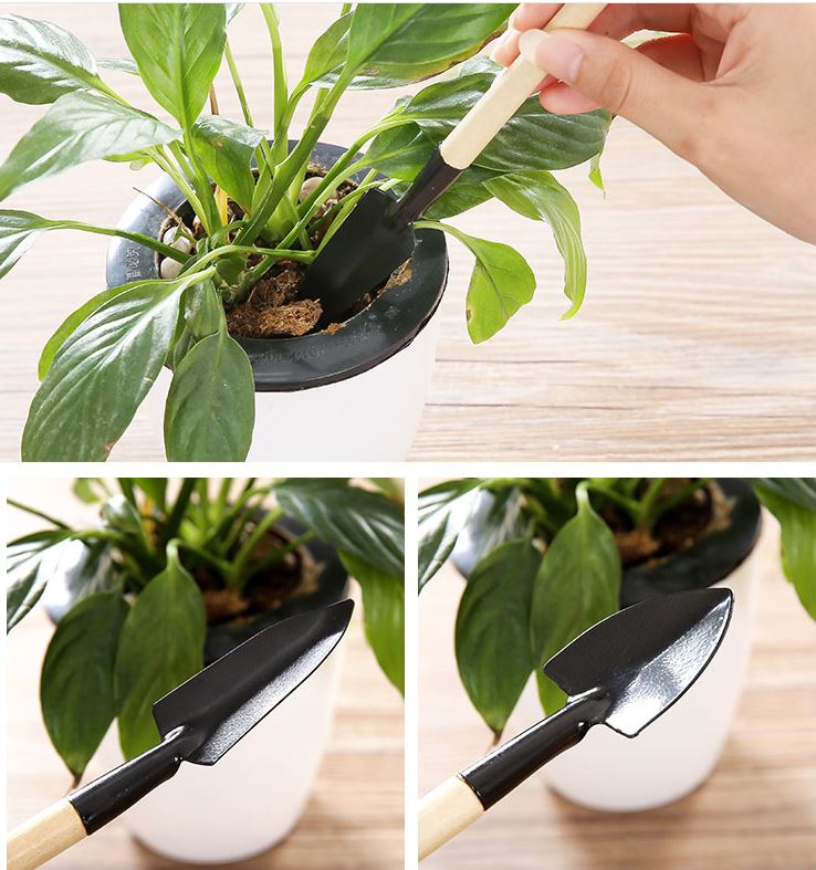 Bộ Dụng Cụ Làm Vườn Mini 3 Món Tiện Dụng