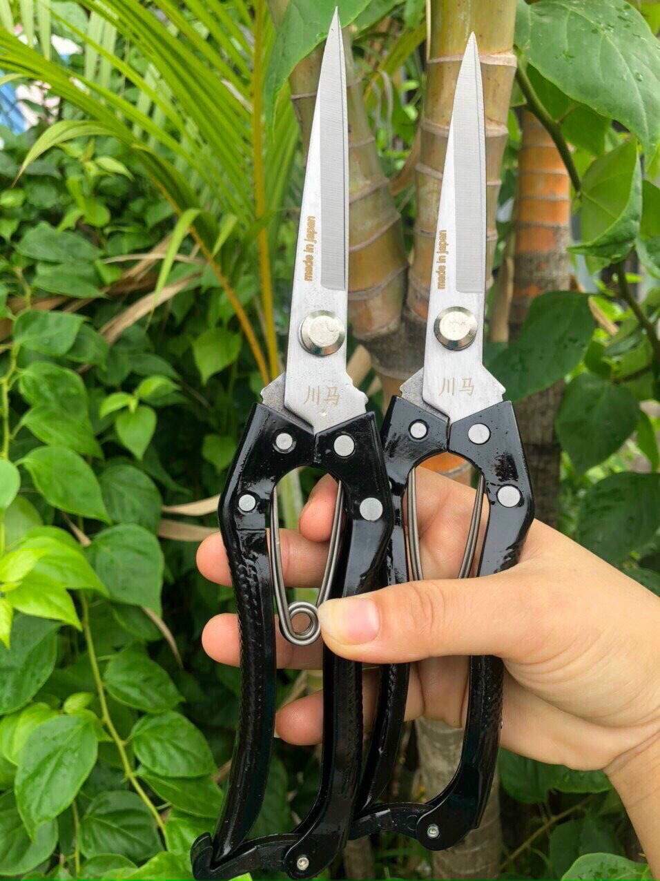 Kéo tỉa tán cây mũi dài 24 cm