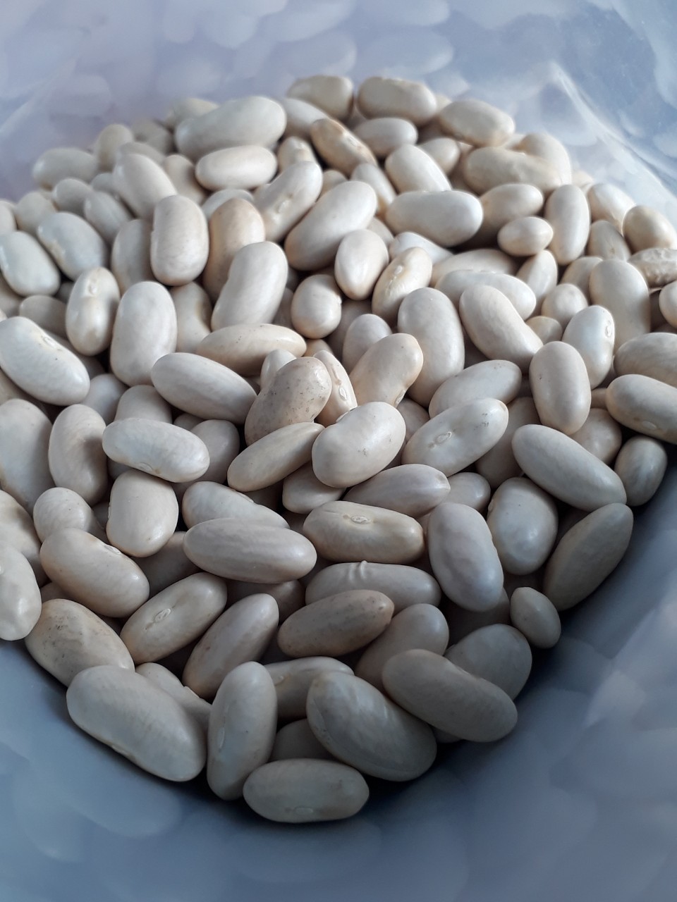 Đậu trắng to, 500g