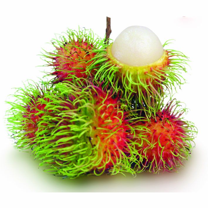 Chôm chôm nhãn tứ quý (ra trái sớm)