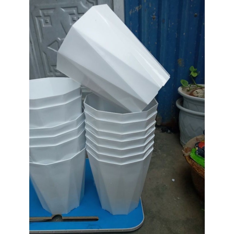 Combo 5 chậu kim cương 40x30cm