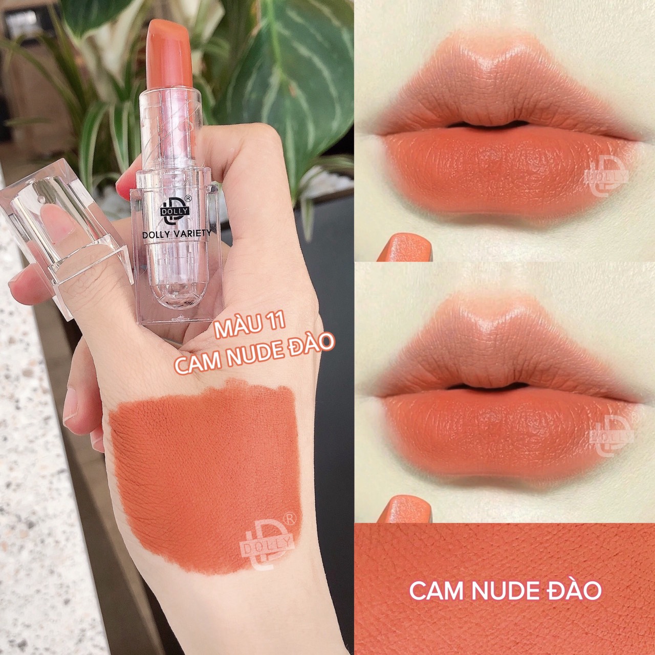 Thỏi son lì không chì cao cấp chính hãng dolly variety, son sáp màu đỏ đô