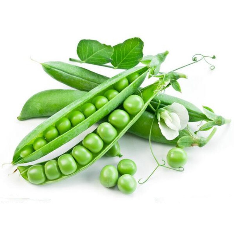 Hạt giống Đậu Hà Lan Xanh - 1 gói 50gr