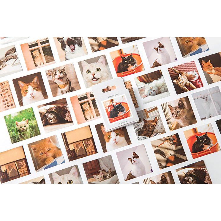 Bộ 46 Sticker Mèo Hàn Quốc dán trang trí E80