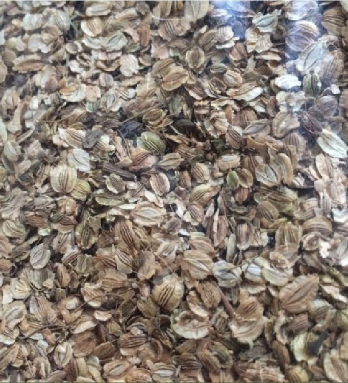 Hạt giống Bạch chỉ -cây dược liệu - 50 hạt/gói