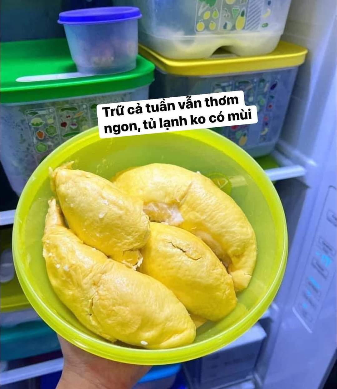 BỘ HỘP BẢO QUẢN THỰC PHẨM DURIAN KEEPER TUPPERWARE (SET 2 HỘP)