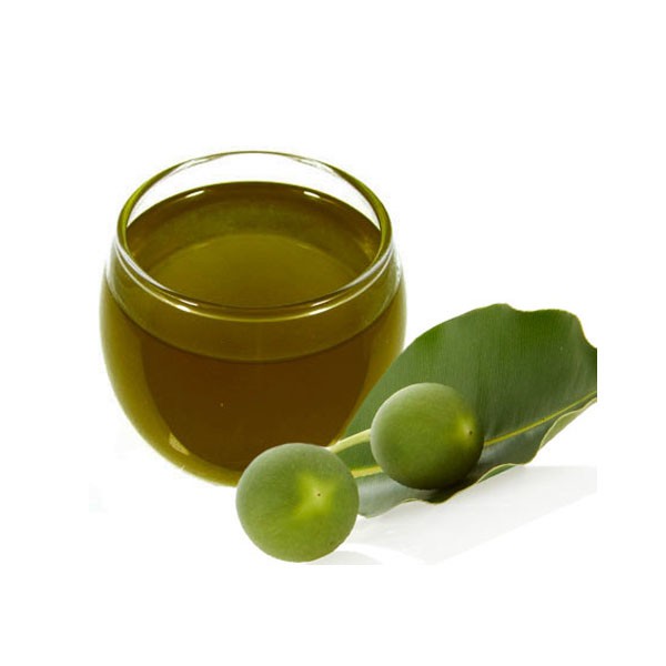 Dầu Mù Xanh nguyên chất 100ml Nu Care