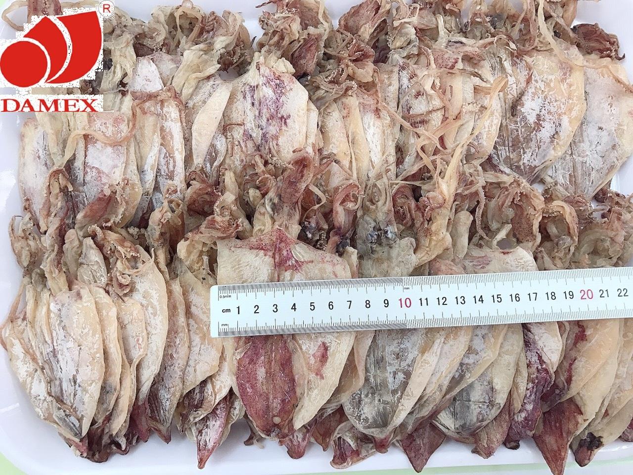 Khô mực DAMEX size trung combo 21 con