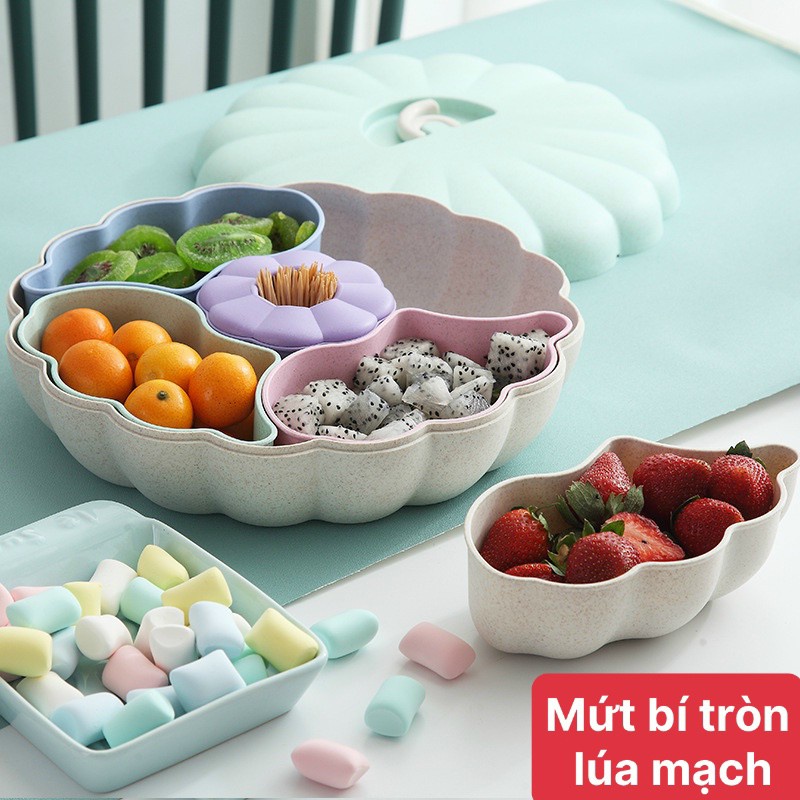 [ TẾT TẾT ] KHAY MỨT LÚA MẠCH HÌNH BÍ DÀI, ĐỰNG MỨT, KẸO . ĐTLV