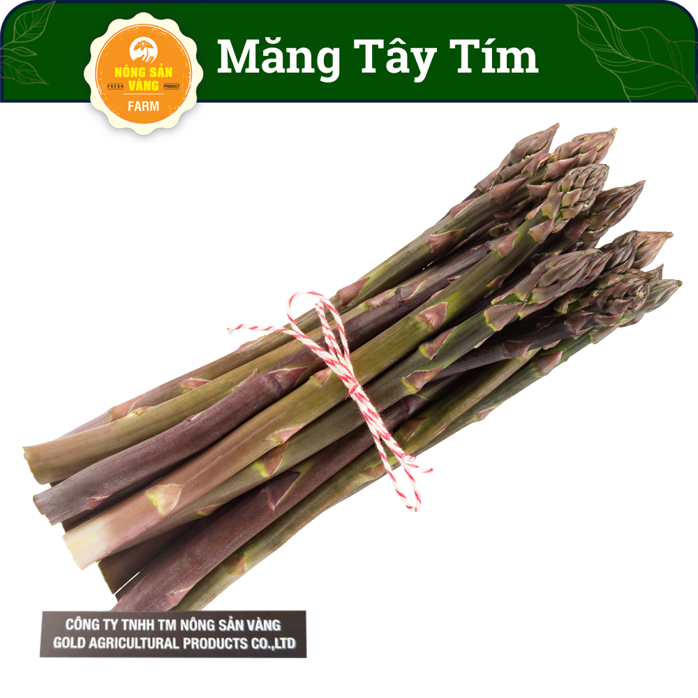 Purple asparagus seeds crops ưa climate cool, ưa sunlight -shallow gold