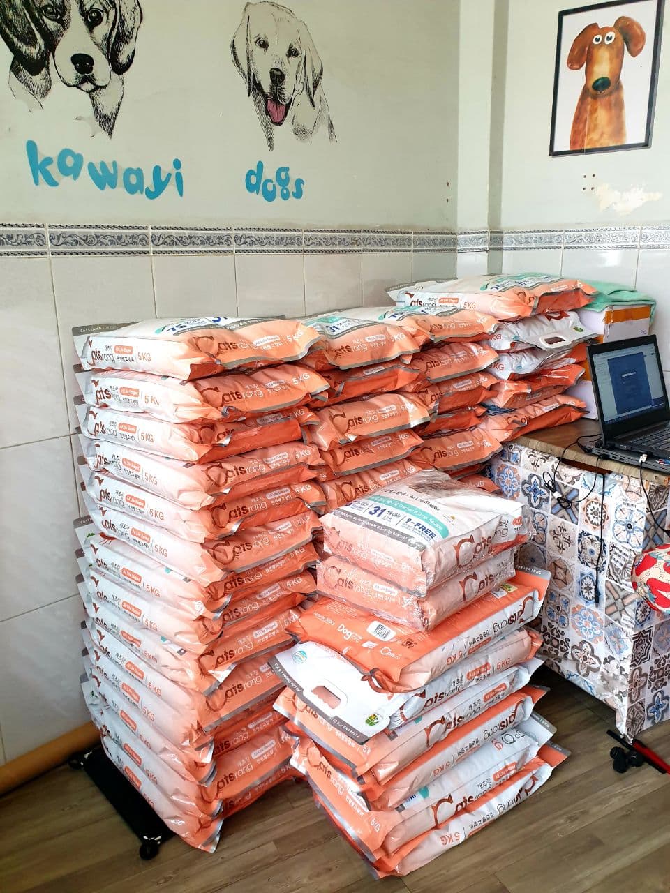 Catsrang 5Kg - Thức Ăn Hạt Cho Mèo Mọi Lứa Tuổi