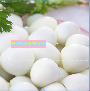 Máy bóc vỏ trứng cút - Máy Lột Vỏ Trứng Cút - máy quay bằng tay