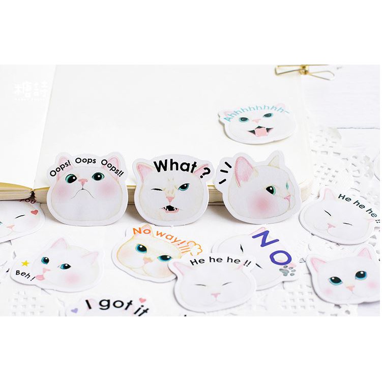 Bộ 46 Sticker Hàn Quốc hình Mèo Con dán trang trí E16
