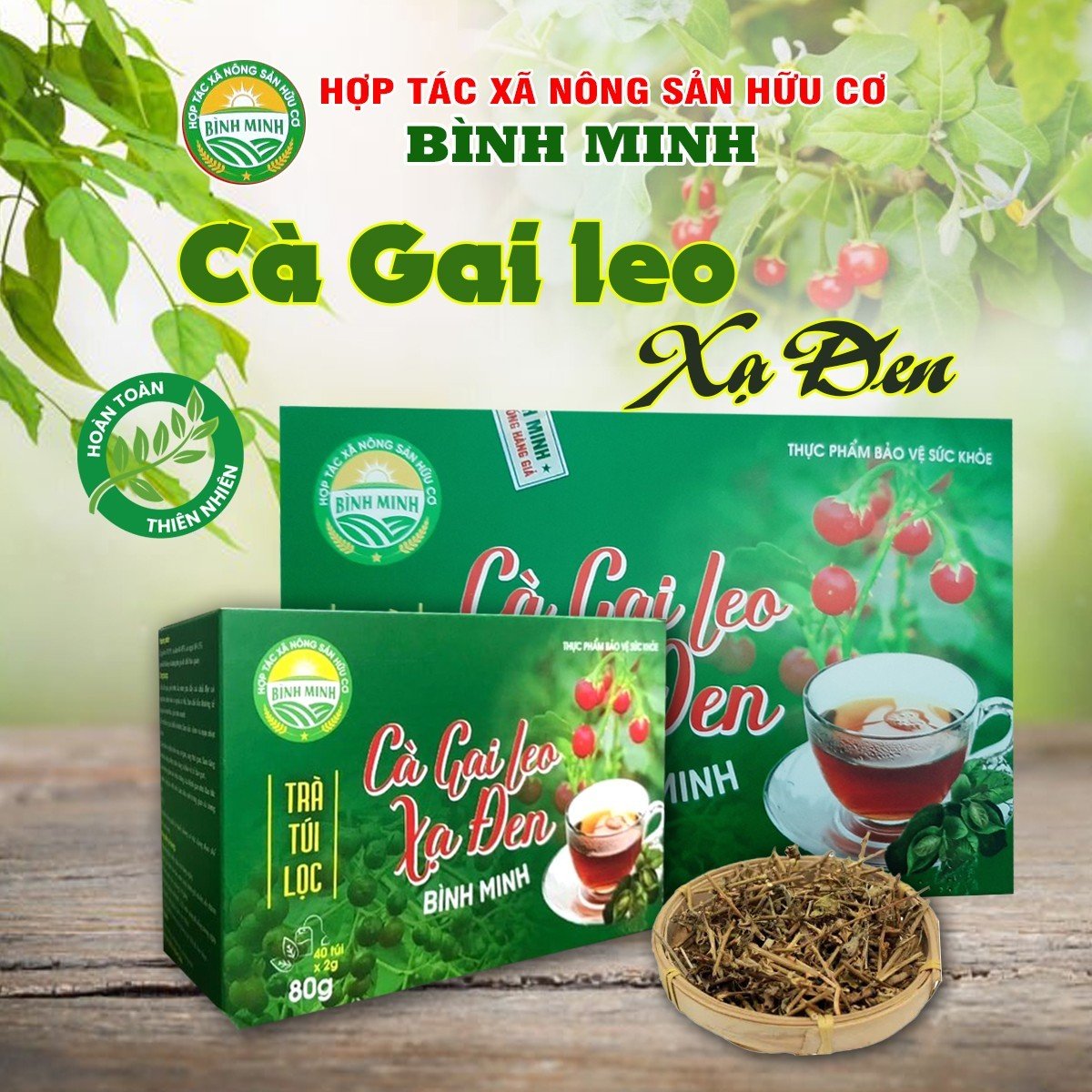 TRÀ CÀ GAI LEO XẠ ĐEN (Trà túi lọc)