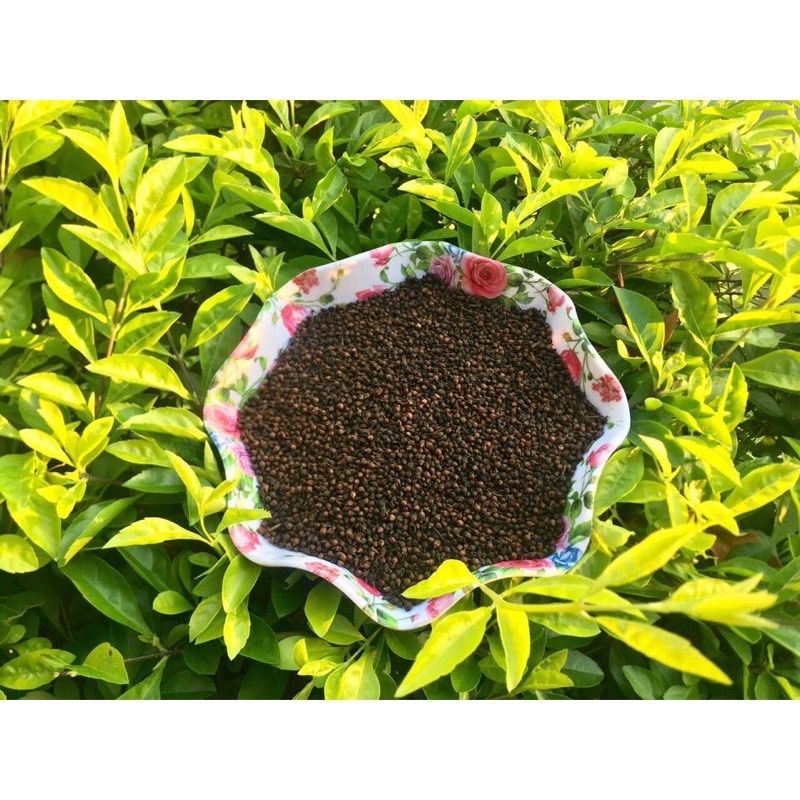 Nụ vối sao khô thơm sạch 1kg