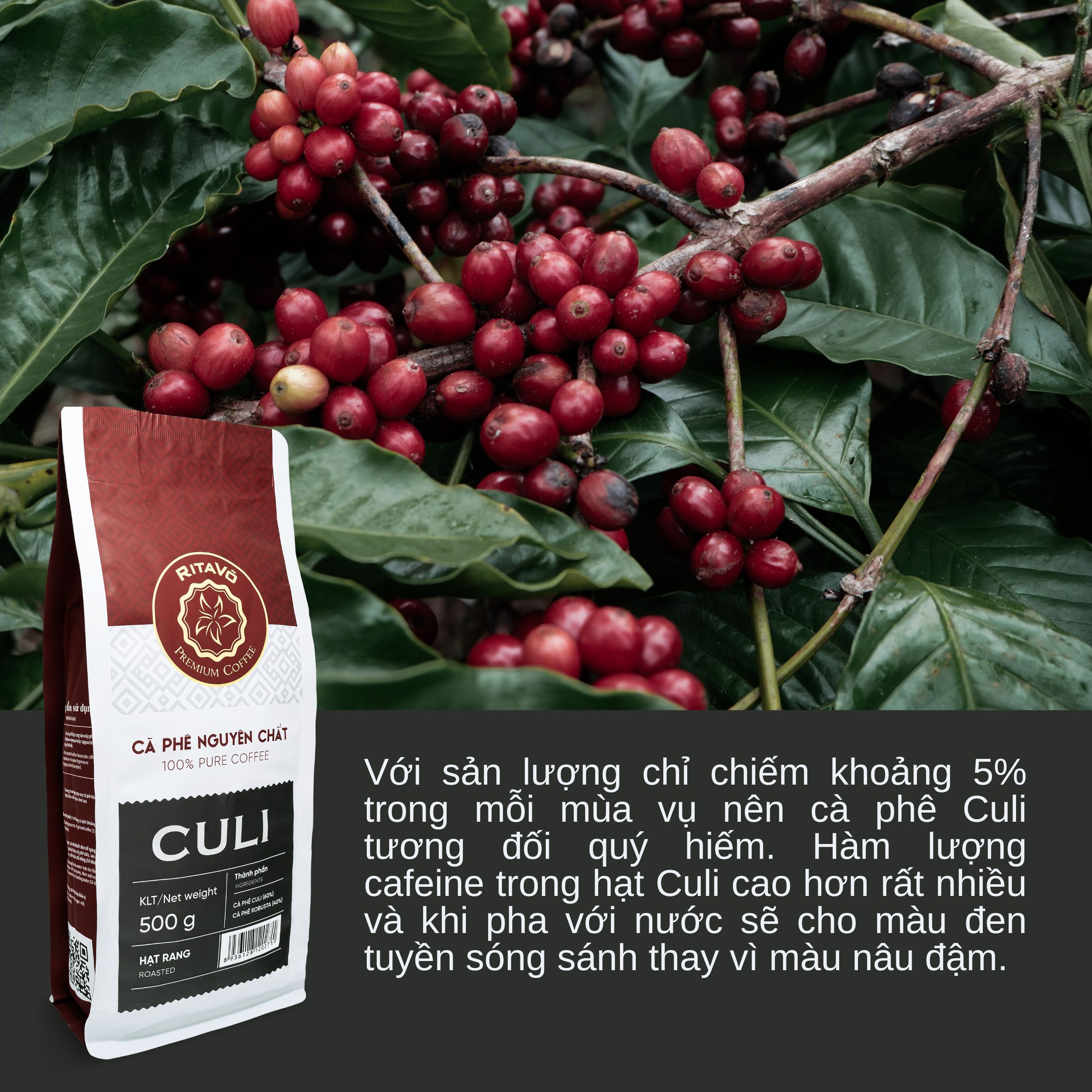 Cà phê nguyên chất hạt rang CULI 1000g