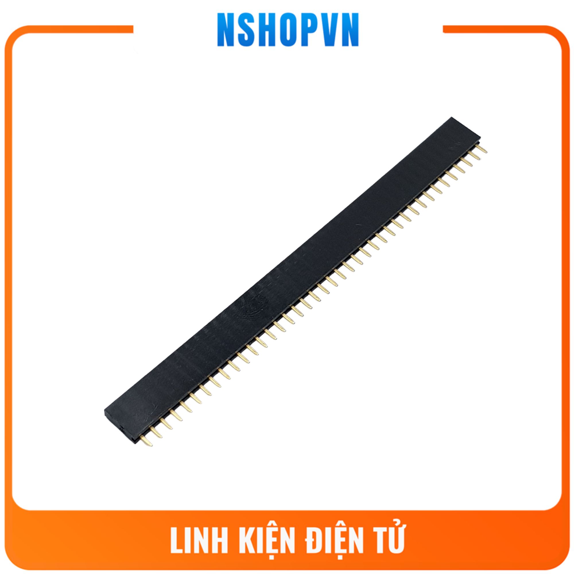 10 rào cái đơn 40p