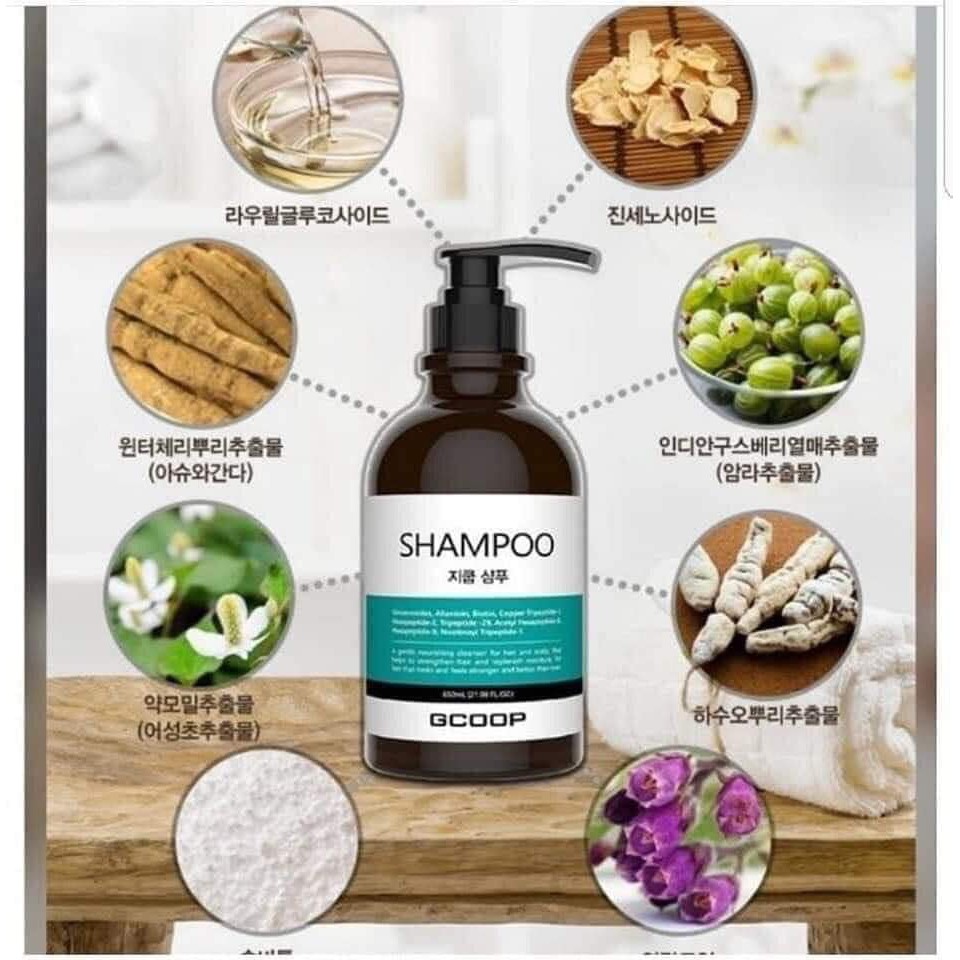 [HCM]DẦU GỘI ĐẦU GCOOP / GCOOP SHAMPOO